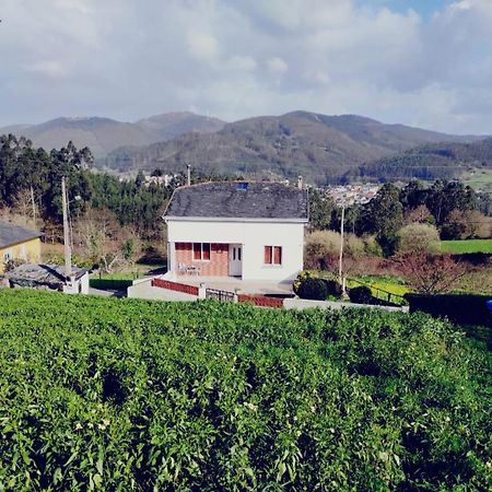 Casa Familiar Con Finca Privada Viveiro Kültér fotó